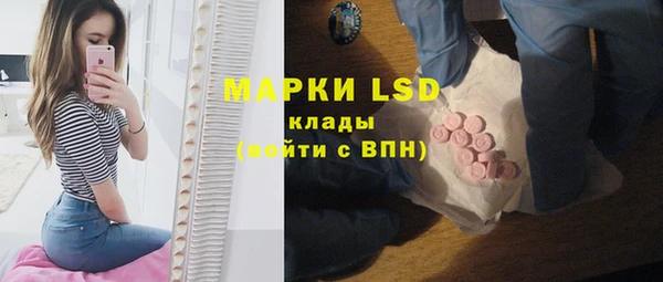 прущие грибы Абинск