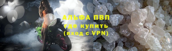 прущие грибы Абинск