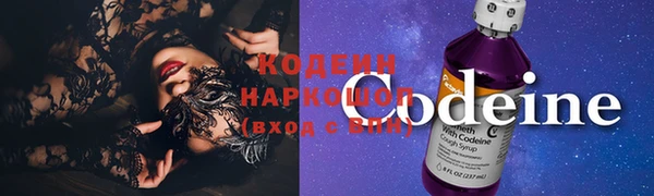 прущие грибы Абинск