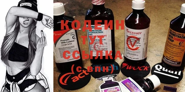 прущие крисы Абаза