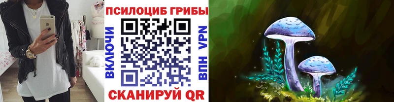 даркнет сайт  Алейск  Псилоцибиновые грибы ЛСД 