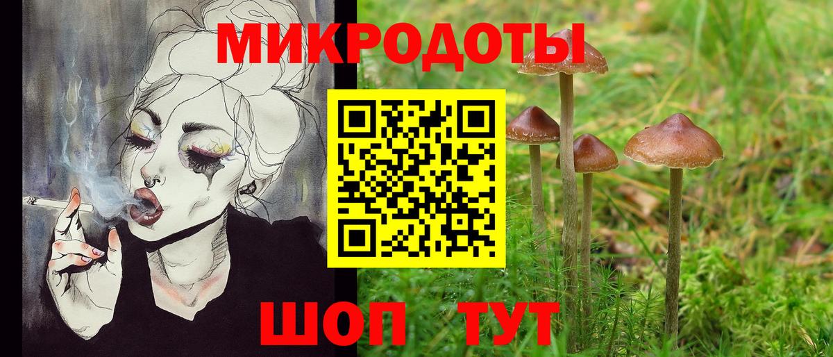 Алейск  Псилоцибиновые грибы Psilocybe  Галлюциногенные грибы Psilocybe  Вход с VPN 