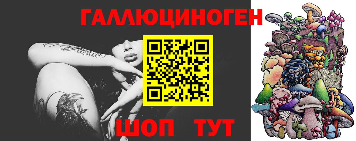 Галлюциногенные грибы Psilocybine cubensis Алейск